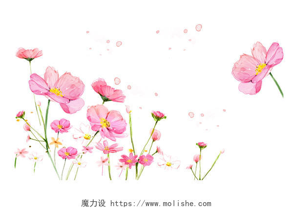 鲜花花草植物春天春季清新卡通花朵小花